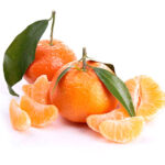 Mandarina clemenvilla