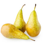 Pera conferencia Holanda 65/75