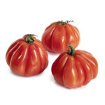 Tomate corazón de buey