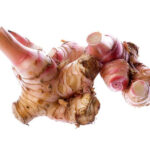 Jengibre azul (Galanga) Cúrcuma