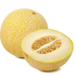 Melón galia