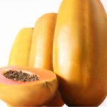 Papaya intenzza