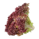 Lechuga roja lollo rosso