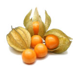 Physalis bandeja