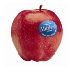 Manzana roja marlene
