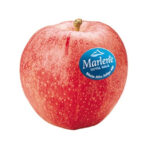 Manzana royal gala Marlene
