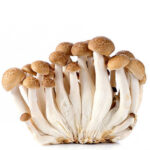 Seta shimeji blanco / marrón